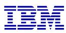 ibm_logo